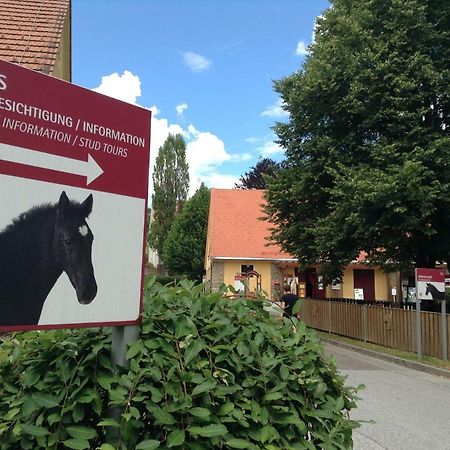 Weststeirische Ferienwohnung Piber Buitenkant foto