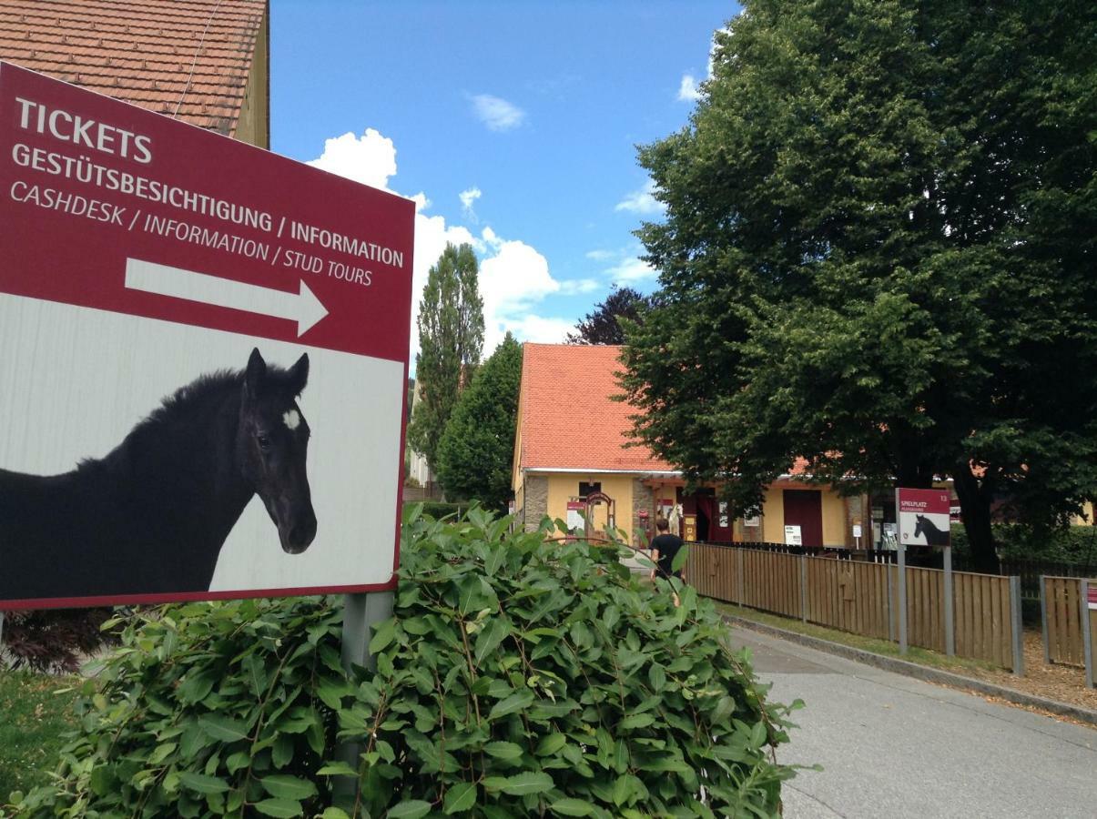 Weststeirische Ferienwohnung Piber Buitenkant foto